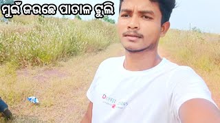 ମୁଇଁ କେନ କେ ପାତାଳ ଟୁଲି ଯାଉଛେ//MUI KEN KE PATAL TULI JAUCHHE//lkb vlogger