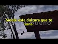 escucha completo este mensaje de dios tu ansiedad se va nada malo te pasarÁ