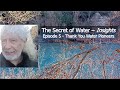 The Secret of Water – Insights –Episode 5 – Thank You Water Pioneers