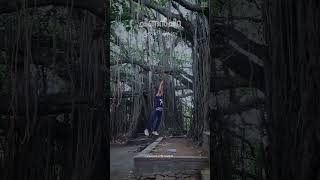 Kollengode | കൊല്ലങ്കോട് | Places to visit 5