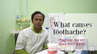 দাঁতের ব্যথা কেন হয়? ব্যথায় করণীয় কি?