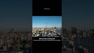 替孩子了解他们要去的那个日本 日本留学 日本 子了解他们要去的那个日本  日本之旅 唉 早知道年轻的时候就 自由是灵魂的氧气 #Guide #Meditation #导游 #Airport #Osak