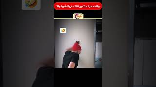 مواقف غبية هتضيع ثقتك فى البشرية ج171