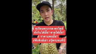 ทุเรียนตกไซส์-ตกเกรด ยังกินได้มั้ย? ขายได้มั้ย? ราคาแพงมั้ย? มาฟังคำตอบกันครับ (180466)