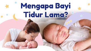 Kenapa Bayi Baru Lahir Tidur Terus? Simak Kebutuhan Tidur Bayi Berikut