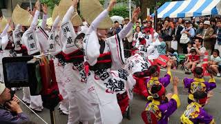 浅草橋紅白マロニエまつり２０１８④雷連Ⅱ