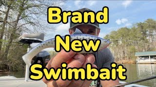 Brand New Swimbait FIRST LOOK