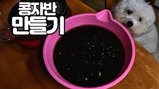 너무 쉬운 콩자반 만들기 | 반찬