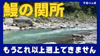 【うなぎ釣り】鰻の関所　〜もうこれ以上遡上できません〜　天竜川の秋葉ダム下付近にも鰻はいます！！