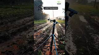 understand field irrigation system in agriculture? yuzuak ATOM 40 Rain gun #tast#irrigation#tanzania