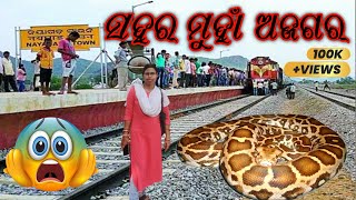 ବିରାଟ କାୟ ଅଜଗର ଉଦ୍ଧାର ହେଲା | A Biggest Snake Adventurous For Me 🐍🤦🐍#trending #snakerescue #vairal