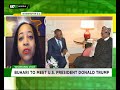 Rasheeda Thomas speaks on Buhari's visit to US