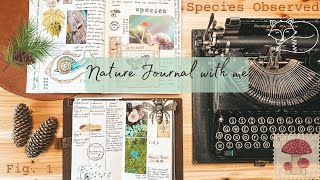 Nature journal and a Nature hike 🍄|Journaling with my field guide and connecting with Nature  🌿