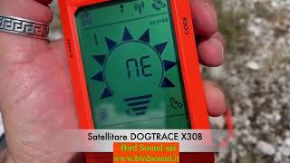 Dog Trace X 30 Beeper