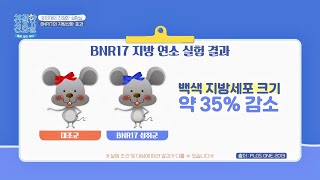 'BNR17'로 요요 없는 다이어트 성공하자↗ | 친절한 진료실 146회 | JTBC 230918 방송