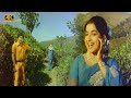 ஓராயிரம் நாடகம் ஆடினாள் பாடல் | Oh Orayiram song | M. S. Viswanathan | P. Susheela |  Kannadasan .
