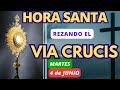 🙏HORA SANTA rezando el VIA CRUCIS❤️‍✝️ DE HOY MARTES 4 de JUNIO❤️‍