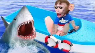 Baby Monkey Chu Chu Drives a Boat to Visit the Dog and Takes a Bath with the Duckling in the Bathtub