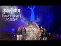 Is the Harry Potter Forbidden Forest Experience Worth It? 🪄 FULL TOUR