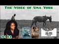 The Voice of Uma York With Faise One Season 1 Episode 3 