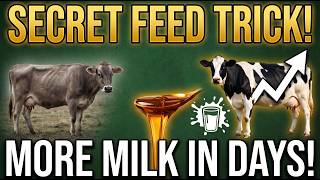 Why Farmers Feed Molasses to Cows (Boost Milk, Weight & Profits FAST!)
