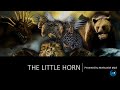 The Little Horn Power (Daniel 2 and 7) || James Methuselah Mjoli