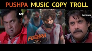 Pushpa Music Copy Troll || DSP Copy Thaman Music || Public Pulse