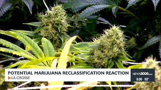 Potential Marijuana Reclassification Reaction