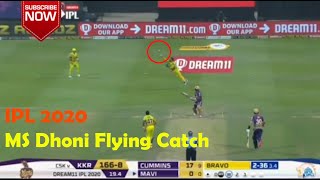 IPL 2020  MS Dhoni Flying Catch