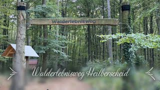 Der Walderlebnispfad Heilberscheid