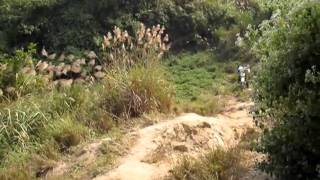 2009.12.11(五)陸軍山傳奇 090.MOV