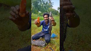 ഇത് ഇത്ര Easy ആയിരുന്നോ !! | How to clean fish easy trick | #fish #shorts