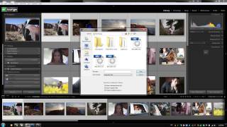 Export Images into a New Catalog in Lightroom - LR4 A-Z DVD Ep29