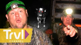 AIMS Team Hunts for Predator Attacking Livestock on Farm | Mountain Monsters | Travel Channel