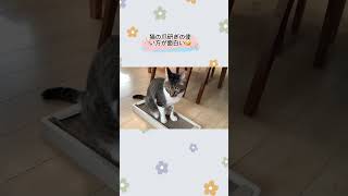 猫の爪研ぎの使い方が面白すぎたｗｗ