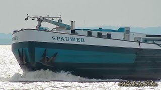 GMS SPAUWER PE7826 MMSI 244750218 Emden riverbarge inland cargo ship Binnenschiff