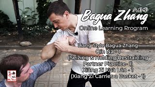 Hua Jin Online Learning Program - Bagua Zhang Glimpses #04