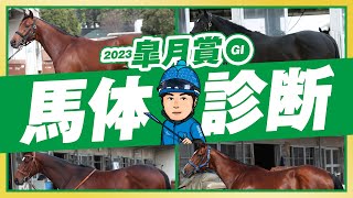 【皐月賞 2023】超大混戦の牡馬クラシック第一冠！過去の馬体傾向から浮かび上がった中山巧者とは！？某大手牧場の元スタッフが見抜く重賞馬体診断！GⅠフォトパドック【競馬予想】