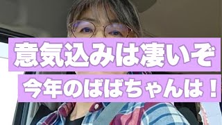 【50代　孫3人】意気込みは凄いぞ　今年のばばちゃんは！