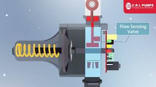 CRI Pumps- Automatic Pump controller- Explainer