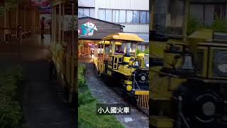 小人國主題樂園遊園小火車(253號)駛離環球火車站 | 2020.8.30 | Window on World Theme Park | 粘粘的鐵道攝影