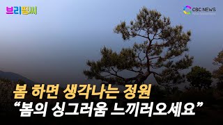 [브리핑씨] \