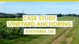 Platipus Case Study - Vineyard Anchoring - Nyetimber Vineyard, UK