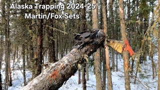 Alaska Trapping 2024-25 Season!!! Martin/Fox sets