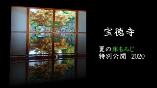 ４Ｋ 夏の床もみじ特別公開　宝徳寺