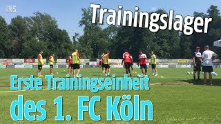 FC-Trainingslager: Heißester Trainingstag des Jahres – FC ackert ohne Modeste