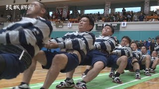 古河で綱引きフェス　50チームが熱戦