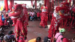 20160703新營太子宮丙申科羅天大醮祈安遶境 普濟殿威靈王池府千歲遶境記錄17揭匾儀式