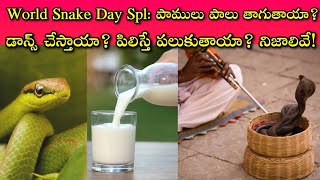 Real Facts Behind Snake Life: పాములు పగబడతాయా..? పుట్టలో పాము పాలు తాగటంలో నిజమెంత!? ఊహించని నిజాలు!