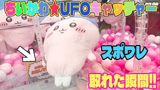 【ちいかわ】UFOキャッチャー攻略！超BIGぬいぐるみ『スポワレ』GET！日本一クレンゲームが下手な人の取り方...マネしないでください (泣）